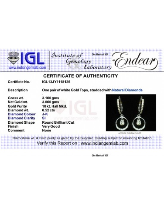 Diamond Hoops with Circle Diamond Hoops with Circle