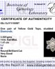 Diamond Floral Cluster Earring Diamond Floral Cluster Earring