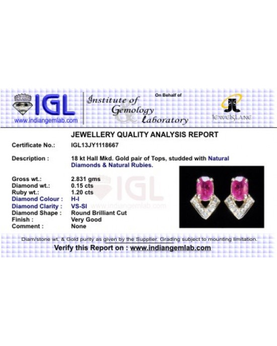 Ruby & Diamond Earring in Gold Ruby & Diamond Earring in Gold