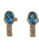 Blue Topaz Earring Blue Topaz Earring