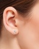 Belle Diamond Studs in 14k Gold Belle Diamond Studs in 14k Gold